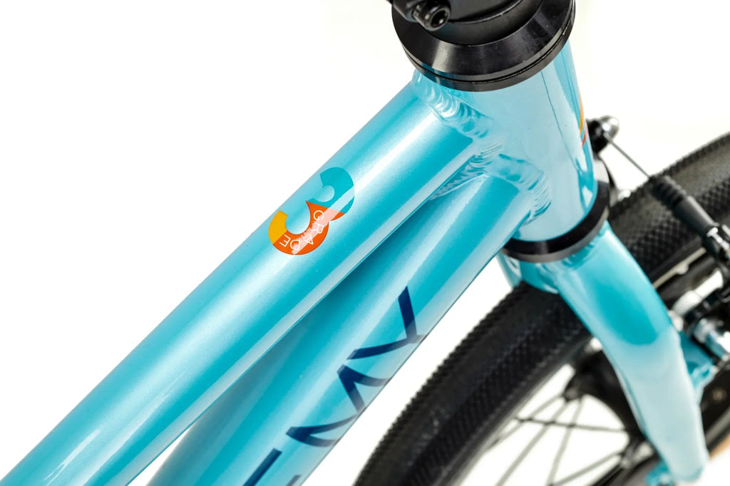 Academy Grade 3 Belt