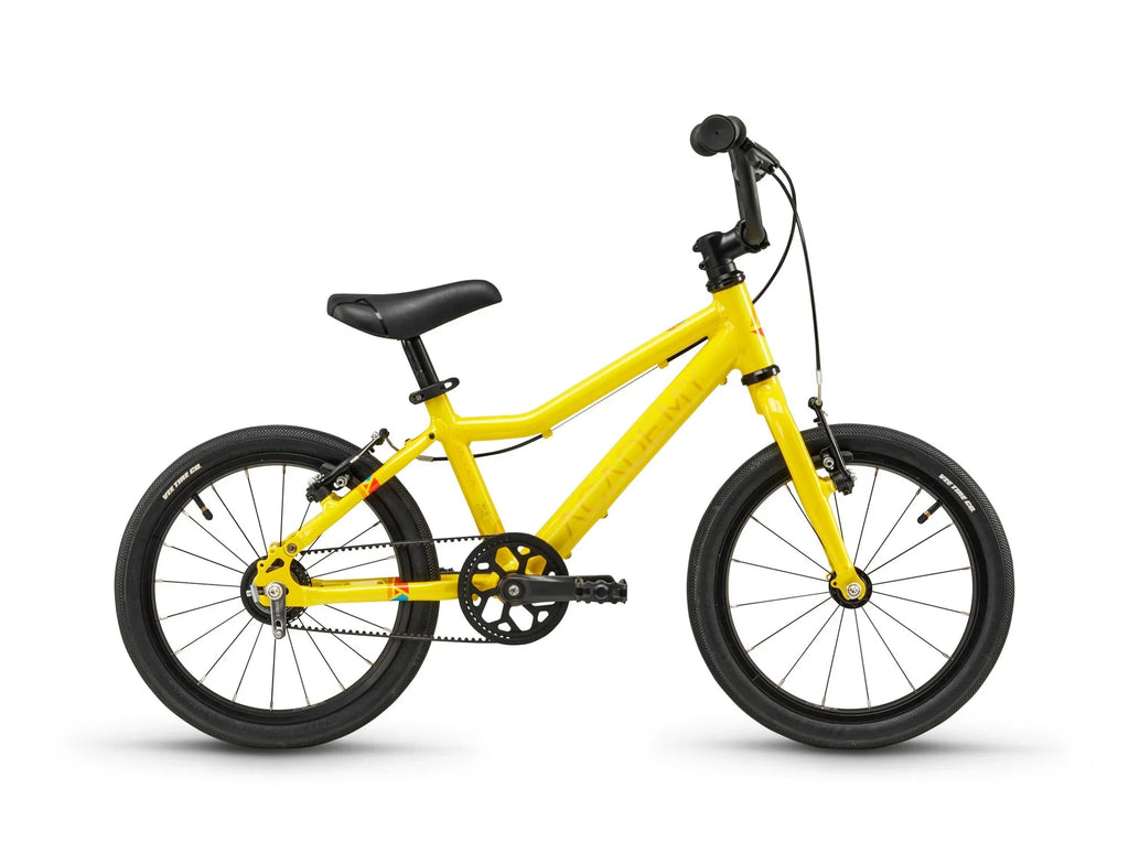 Academy Grade 3 Belt