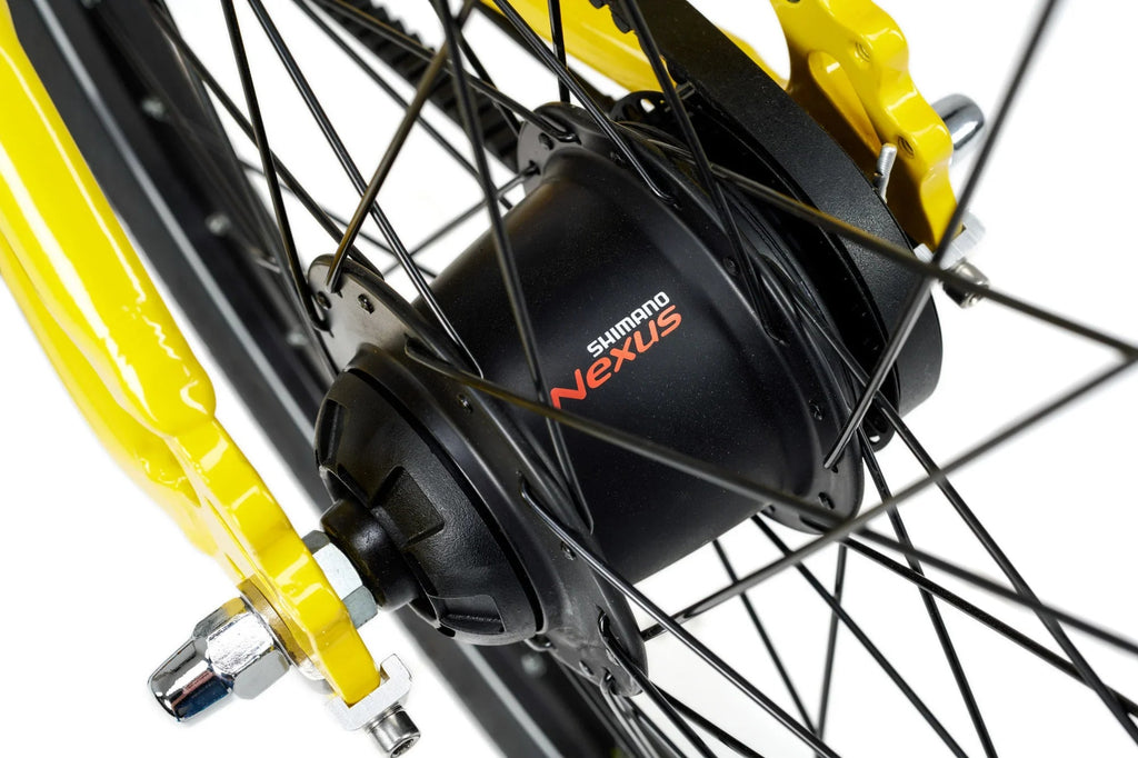 Academy Grade 5 Belt 7-Speed