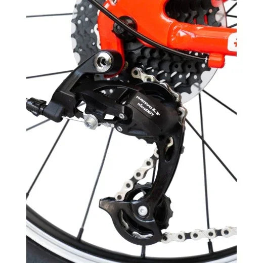 Bemoov M20