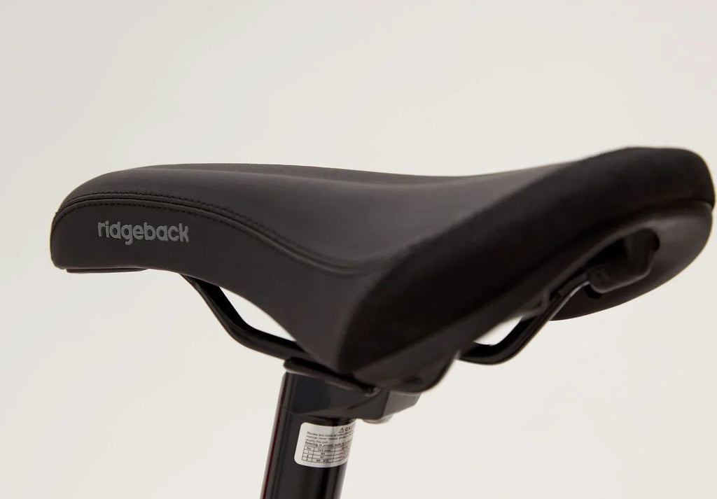 Ridgeback MX20