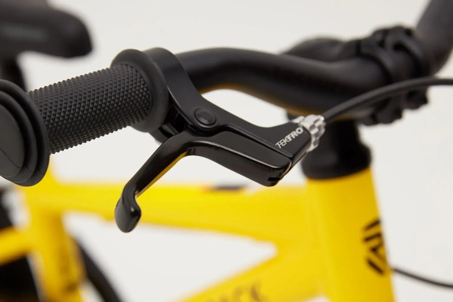 Ridgeback Dimension 14