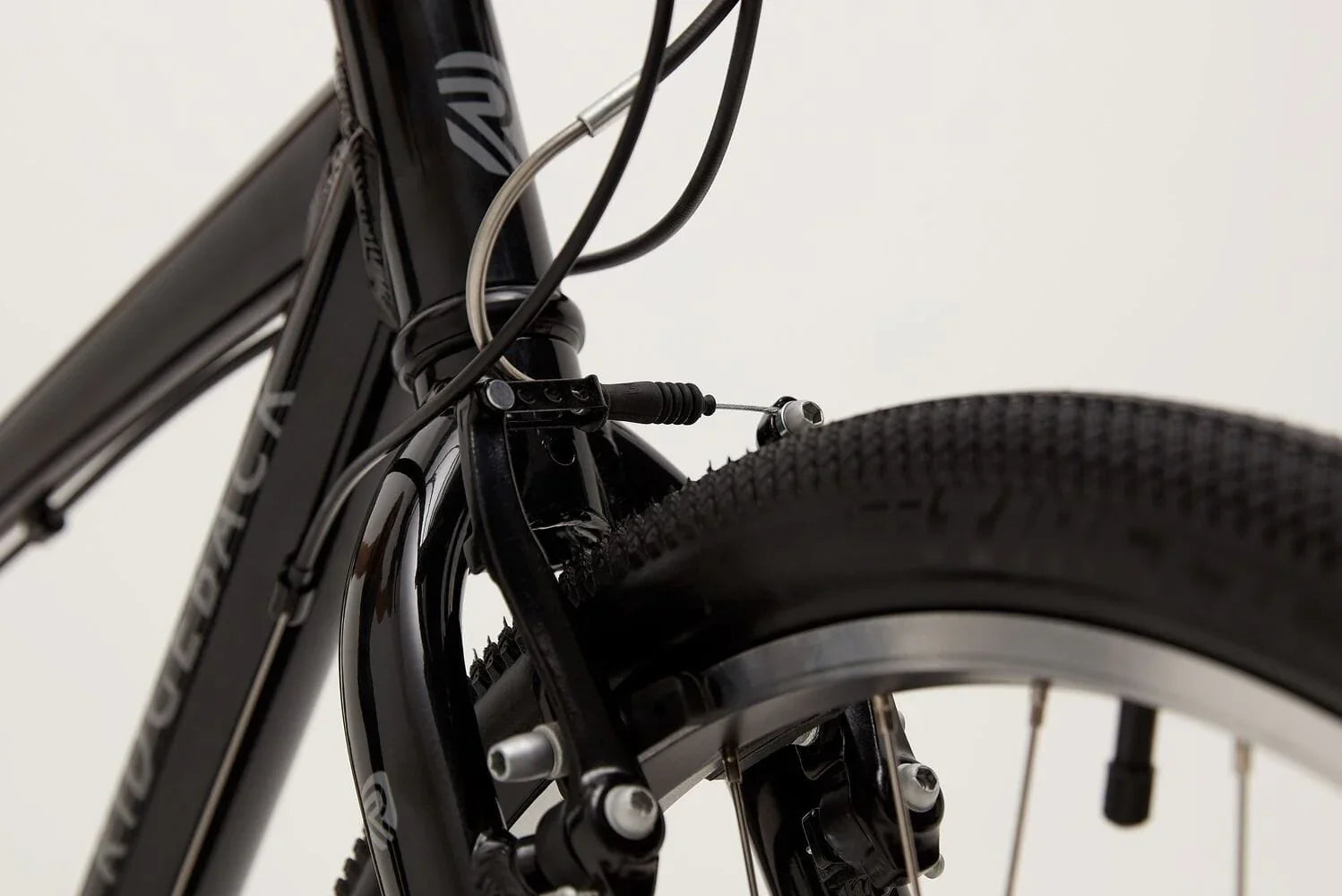 Ridgeback Dimension 26